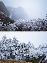 12.4實拍峨眉山的霧淞美瘋了