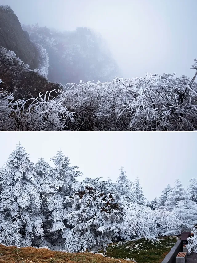 12.4實拍峨眉山的霧淞美瘋了