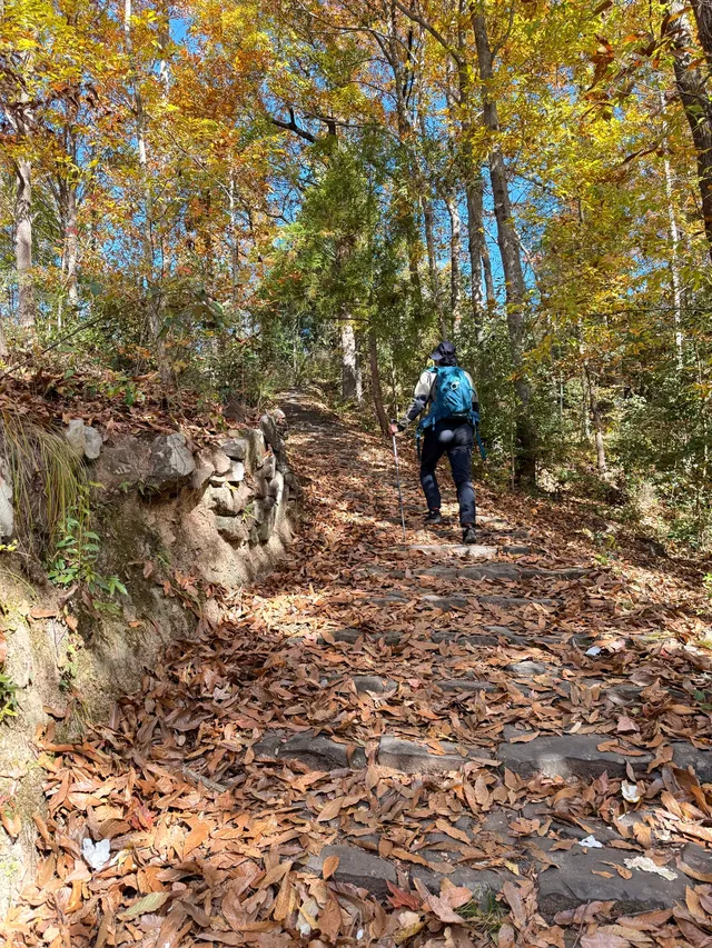 浙江台州「霞客古道」值得251129 浙江台州「霞客古道」值得251129