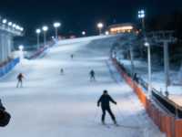 SHOW Dry Ski Resort: All-Season Training Hub – Dry Slopes + Simulators for Pros!