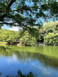 惠州羅浮山|登高尋訪葛洪跡 觀瀑聽泉洗塵心