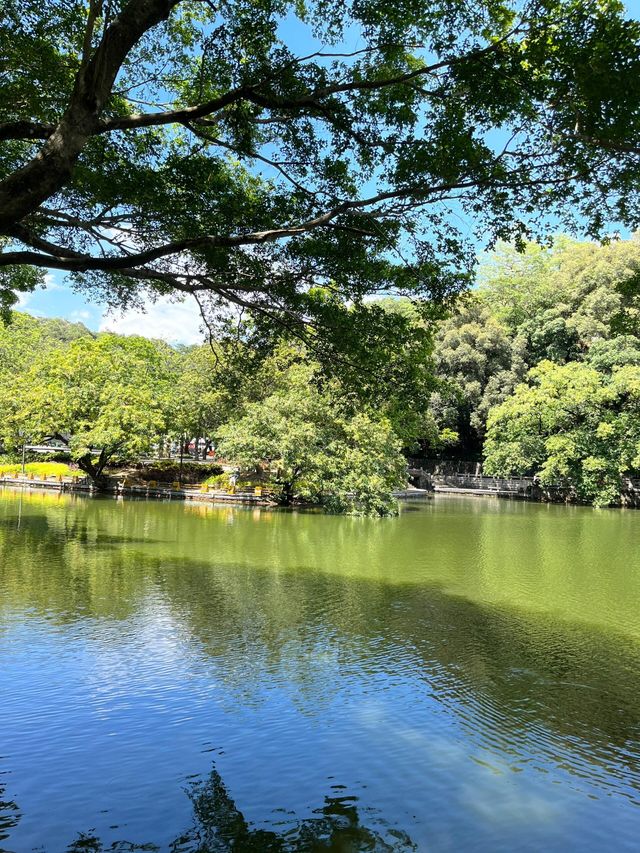 惠州羅浮山|登高尋訪葛洪跡 觀瀑聽泉洗塵心 惠州羅浮山|登高尋訪葛洪跡 觀瀑聽泉洗塵心