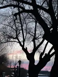 哈爾濱-哈藥六版畫博物館