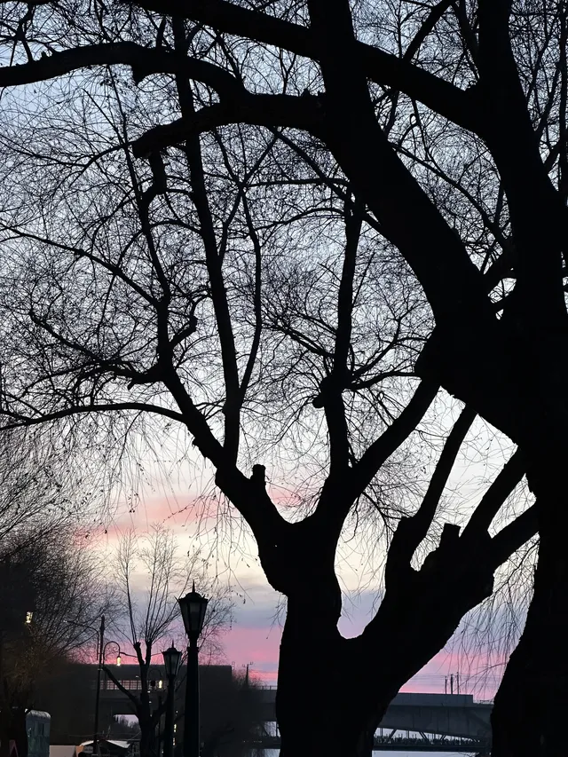 哈爾濱-哈藥六版畫博物館