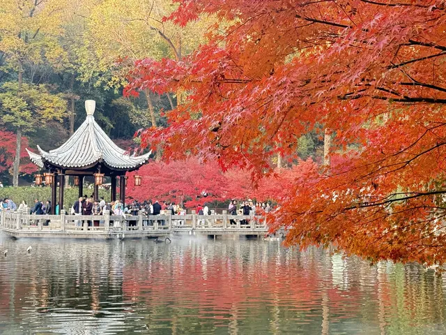 棲霞山的楓葉，是秋天寫給南京的情書