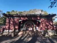 古建氧吧水月宮