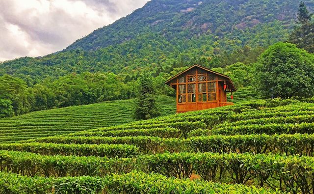 人間仙境姑婆山