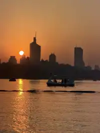 金陵Style直通！玄武湖落羽杉美成油畫暴擊