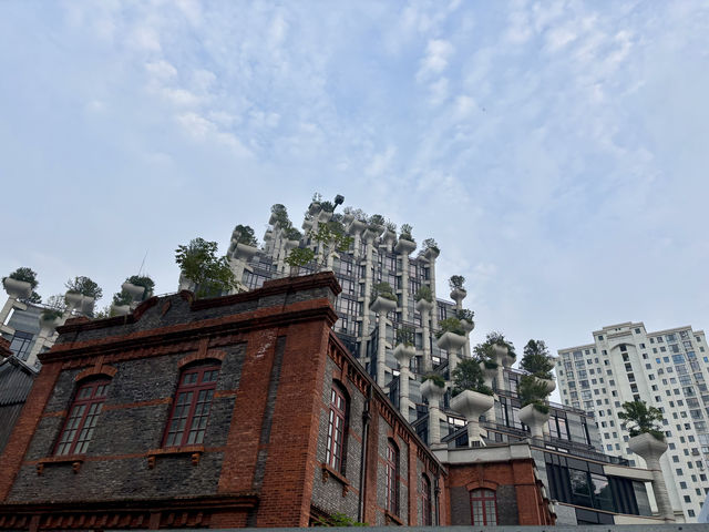 無懼秋老虎,打卡「千樹」之城,歷史的變遷,不定期更新 無懼秋老虎,打卡「千樹」之城,歷史的變遷,不定期更新