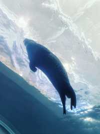 極光之城—特羅姆瑟必打卡攻略