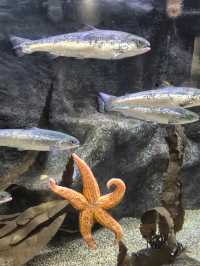 極光之城—特羅姆瑟必打卡攻略