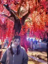 週末逃離西安之洛陽~