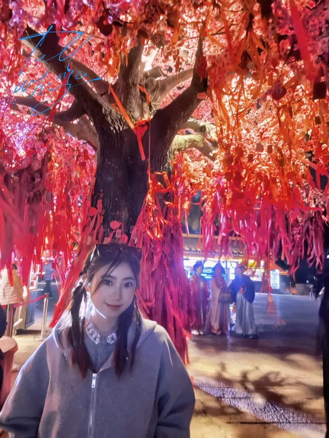 週末逃離西安之洛陽~ 週末逃離西安之洛陽~