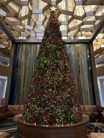 1. Беспрепятственный въезд в Чили совпадает с Днем национальных выборов.