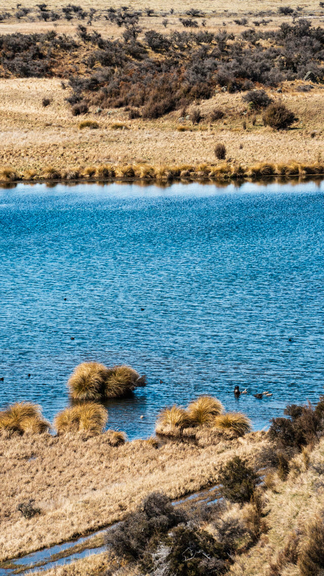 紐西蘭十天攻略D2 | 庫克山