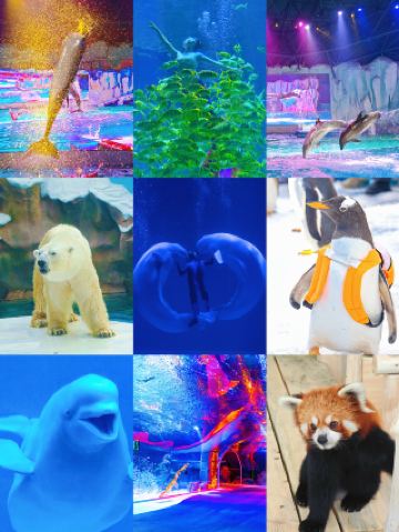 ฉันจึงบอกทุกคนที่ฉันพบว่านี่แหละคือวิธีการจัดทัวร์สำหรับพ่อแม่และลูกในฮาร์บินที่ถูกต้อง