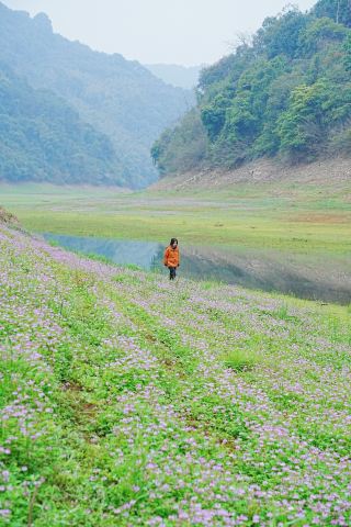 Free! Direct car access! This reservoir in Lipu can no longer be kept secret｜With a guide