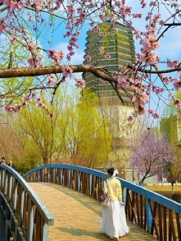 นี่คือภาพของเสิ่นหยางในอนาคต... (โดยคำนึงถึงฤดูดอกไม้บาน)