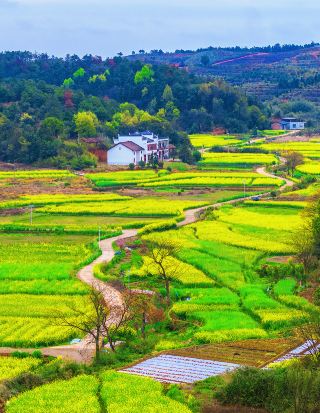 สถานที่ท่องเที่ยวที่คนไม่ค่อยรู้จักในเมืองอันเหริน มณฑลหูหนาน: ภูมิประเทศแบบดานเซียที่ปกคลุมไปด้วยดอกไม้