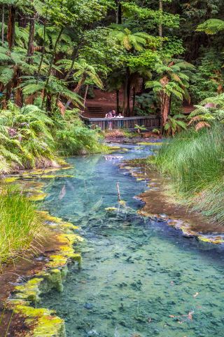 หลีกหนีจากโลก! สัมผัสประสบการณ์ธารน้ำแข็ง ท้องฟ้าเต็มไปด้วยดวงดาว และบ่อน้ำพุร้อนได้ในทริปเดียว