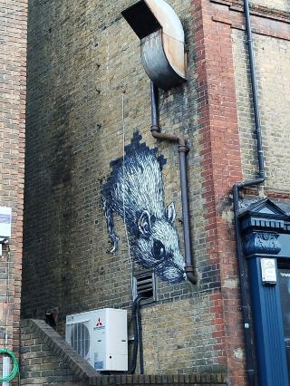 London’s Street Art Scene: Chasing Murals & Legends 🎨🇬🇧