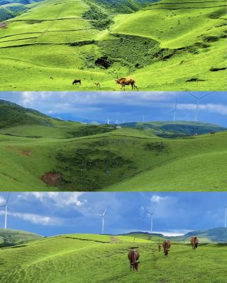 雲上の草原癒しの旅
