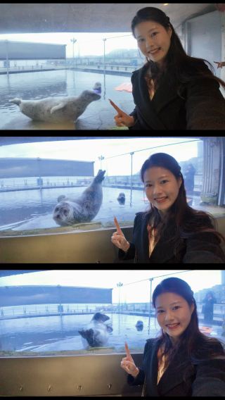 Seattle 西雅圖 | 西雅圖水族館