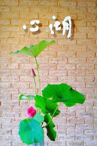 บังเอิญมาเจอ "เจียงหนาน" ขนาดเล็กของเมืองซือหยาน! สัมผัสประสบการณ์ที่สดชื่นและเย็นสบาย