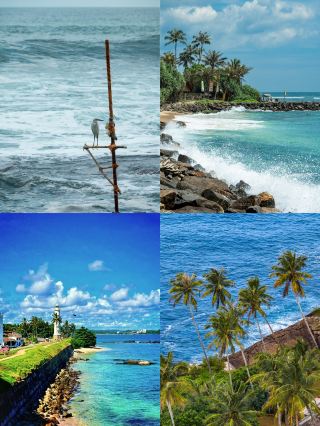 Sri Lanka trip is back! 5 tough days, stayed up all night to organize a pitfall avoidance guide after being scammed