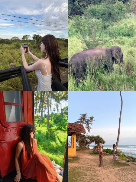 スリランカ、7日間｜セイロンの山と海をバッグに詰め込む | Trip.com