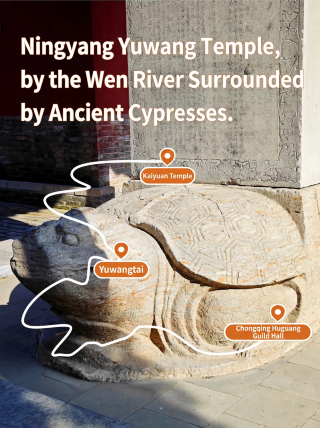 Ningyang Yuwang Temple, an old temple surrounded by ancient cypress trees along the Wen River