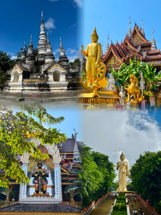 หลังจากที่เคยไปซีซวงปันนามาแล้ว ฉันไม่แนะนำให้ไปช่วงเดือนสิงหาคม