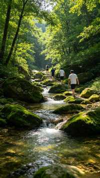 23℃神仙避暑！雞公山暑期遊玩攻略 酷暑難熬，不妨躲進雞公山，這座四大避暑勝地，山林清涼，逃離城市熱