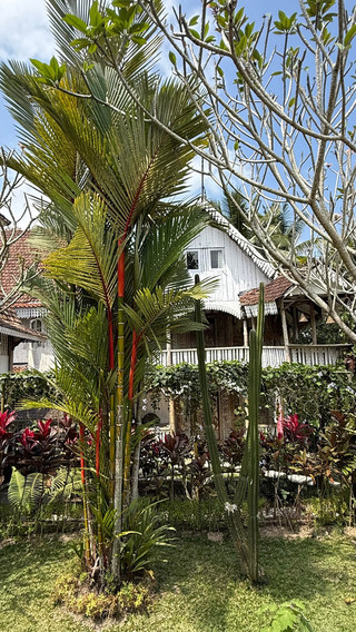 Permata Otentik dan Menenangkan di Ubud