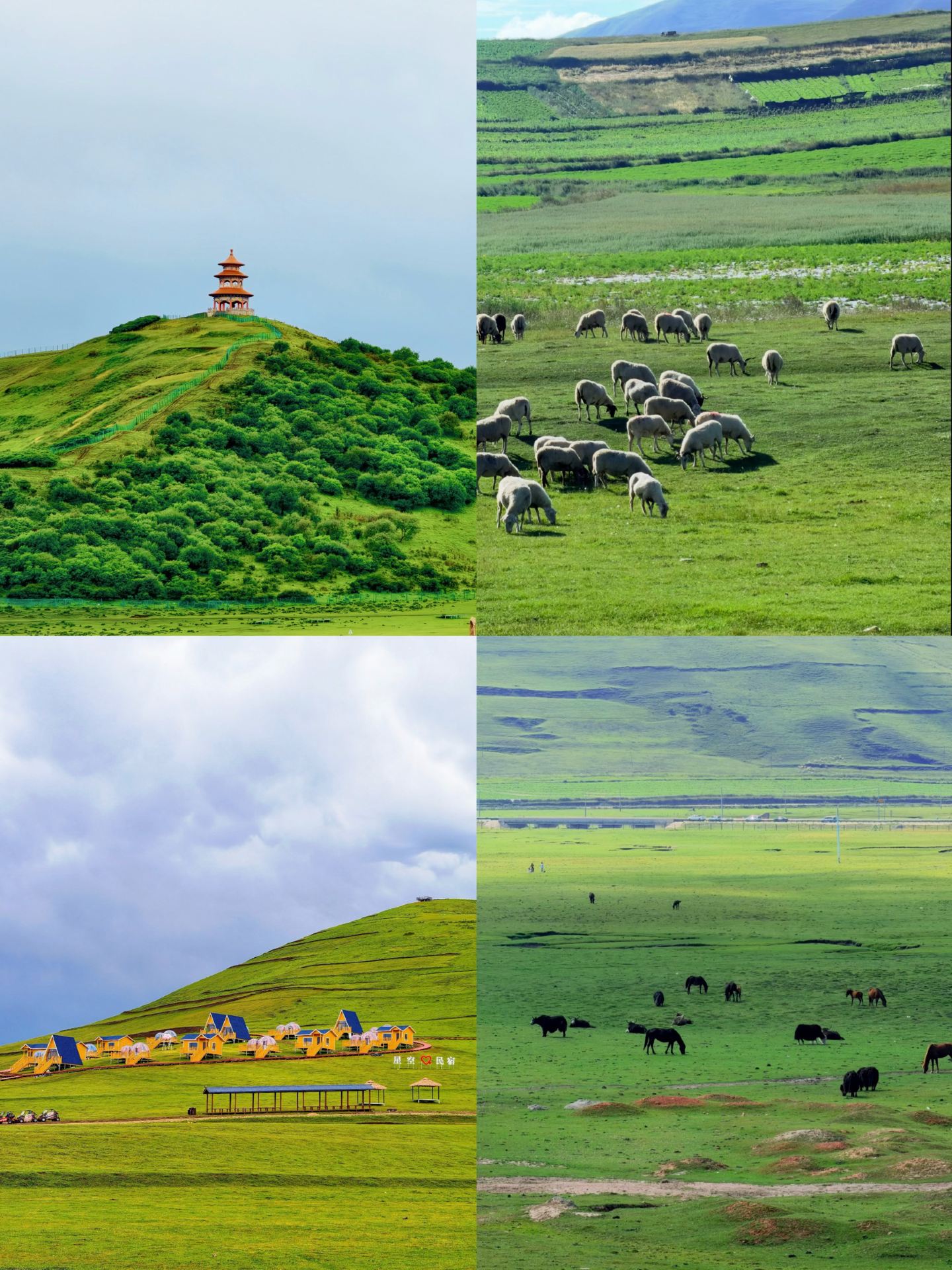 Tips for capturing stunning photos of the grassland on a rainy day