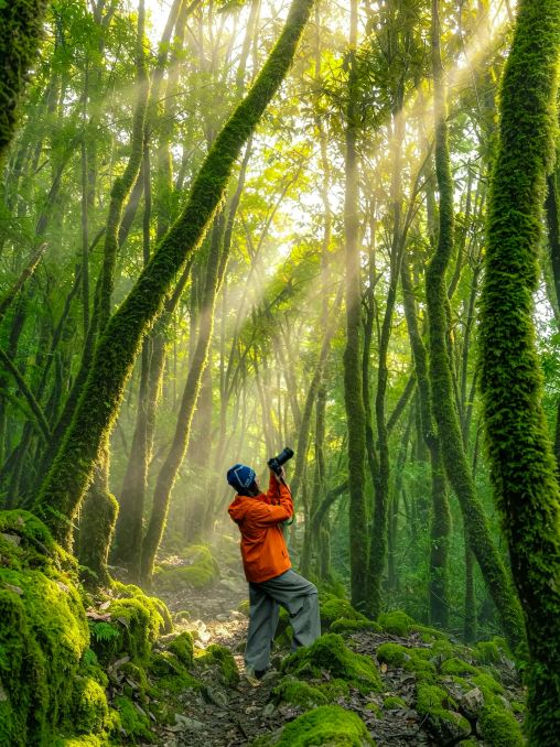 Around Chengdu | A niche hiking hidden gem I'd visit countless times!