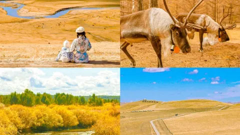 Hulunbuir is legendary in autumn! Fewer crowds, stunning scenery, and even better than summer — traveler post in Genhe