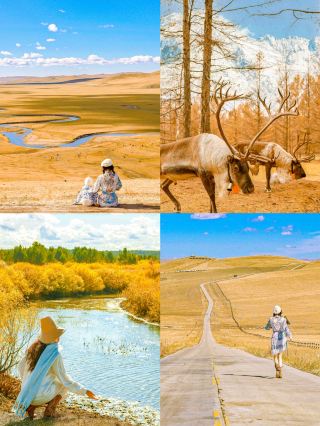 Hulunbuir is legendary in autumn! Fewer crowds, stunning scenery, and even better than summer