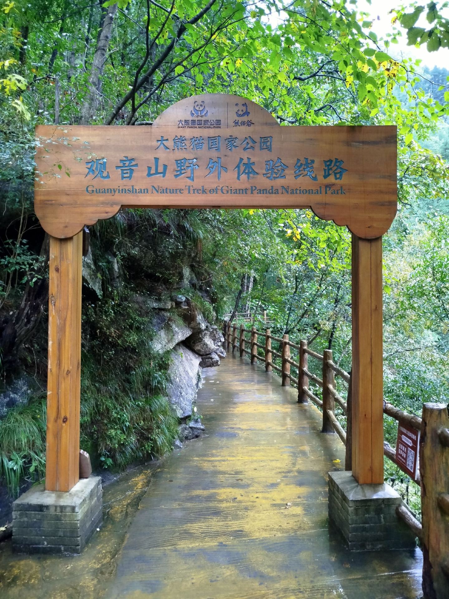 Wild Encounters in Foping: Snub-Nosed Monkeys & Panda Valley 🐒🐼