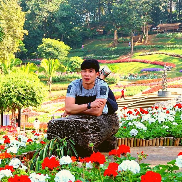 💥หนาวนึ้ที่ ดอยตุง