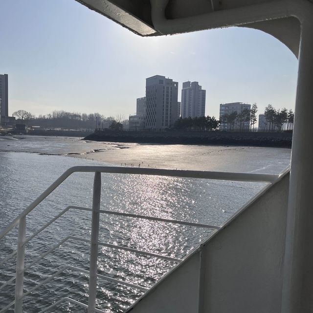 갈매기에게 새우깡 먹이 줄 수 있는 인천 영종도 배⛴️