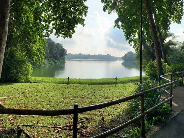 Singapore Zoo, Great Experience 