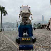 神獸龍馬~兔年新春~遊香港👏