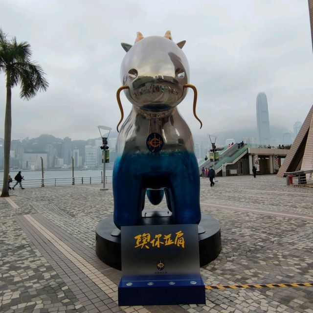 神獸龍馬~兔年新春~遊香港👏