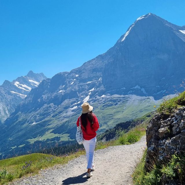 광활한 자연보며 하이킹! 클라이네샤이덱🏔️