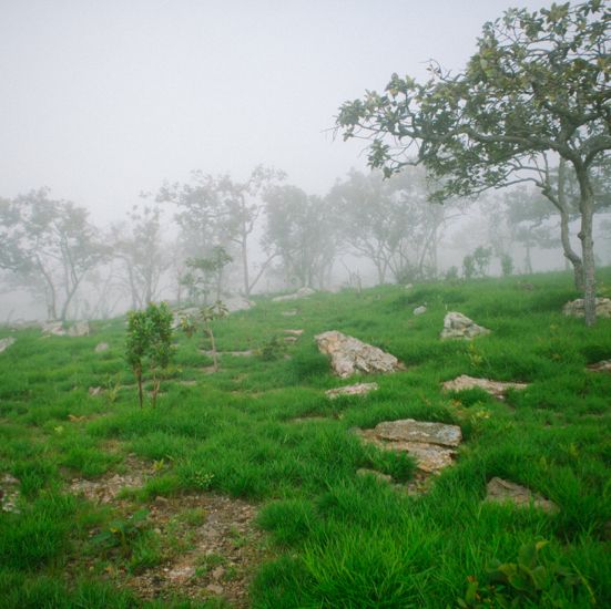 ลานหินงาม