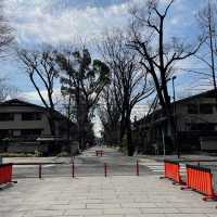 下鴨神社⛩️祈求戀愛順利🫶🏻京都隱世景點