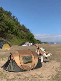 동화 속 같았던 무인도캠핑장🏕️🦌✨ 