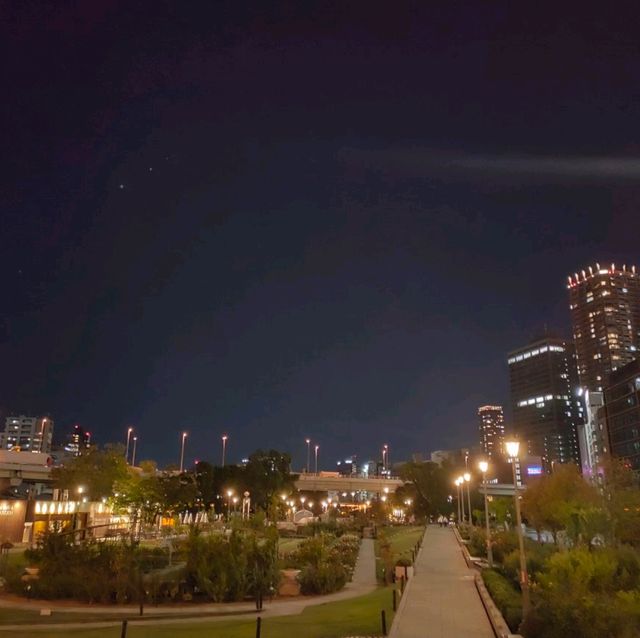 【大阪 中之島】満開のバラ園✨