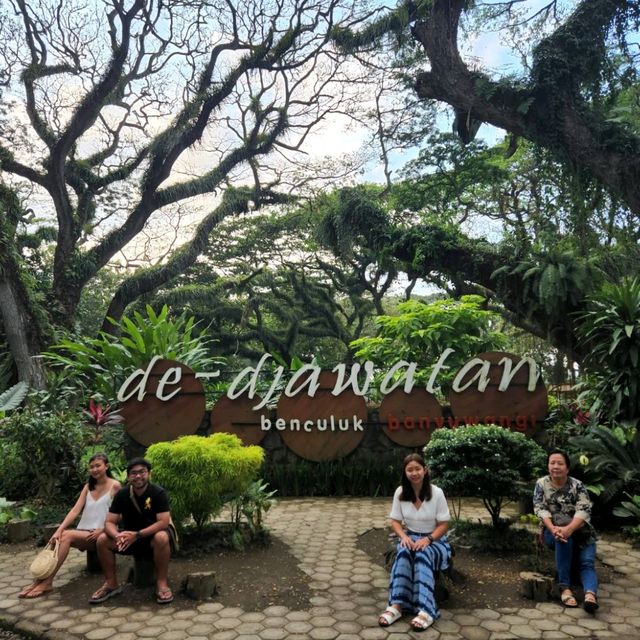 De Djawatan Banyuwangi